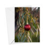 Greeting Cards - Rural - Image 6