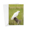 Greeting Cards - Rural - Image 10