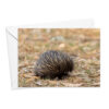 Greeting Cards - Rural - Image 11