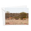 Greeting Cards - Rural - Image 13